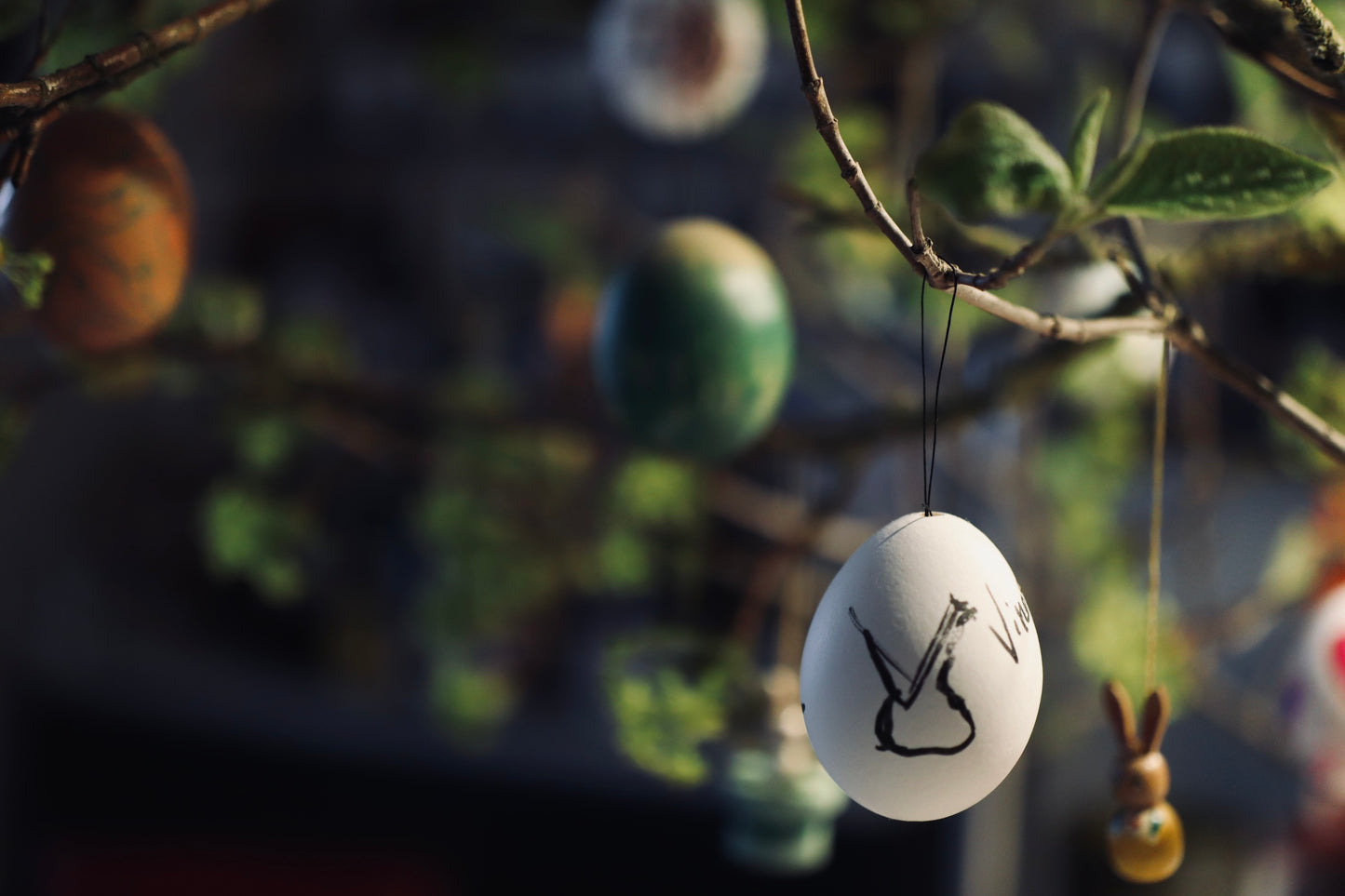 02. April 2026 - Semana Santa & Vino: Bacalao satt!