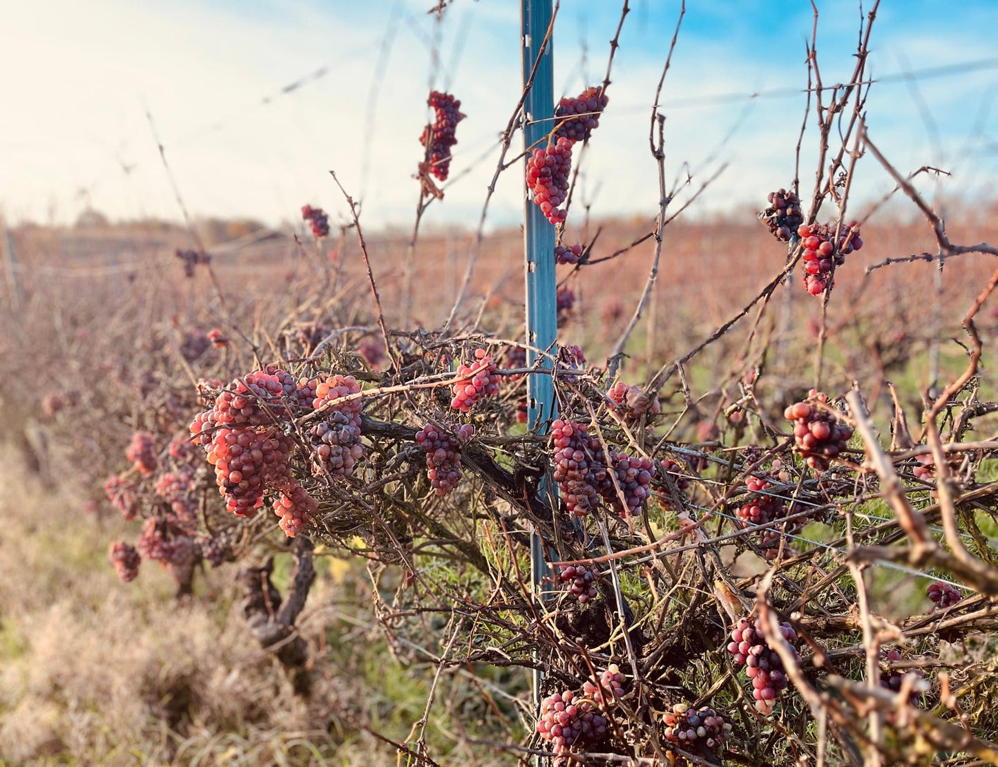 25.09.2026 September - 🍂Otoño, Herbst beginnt! 🍷