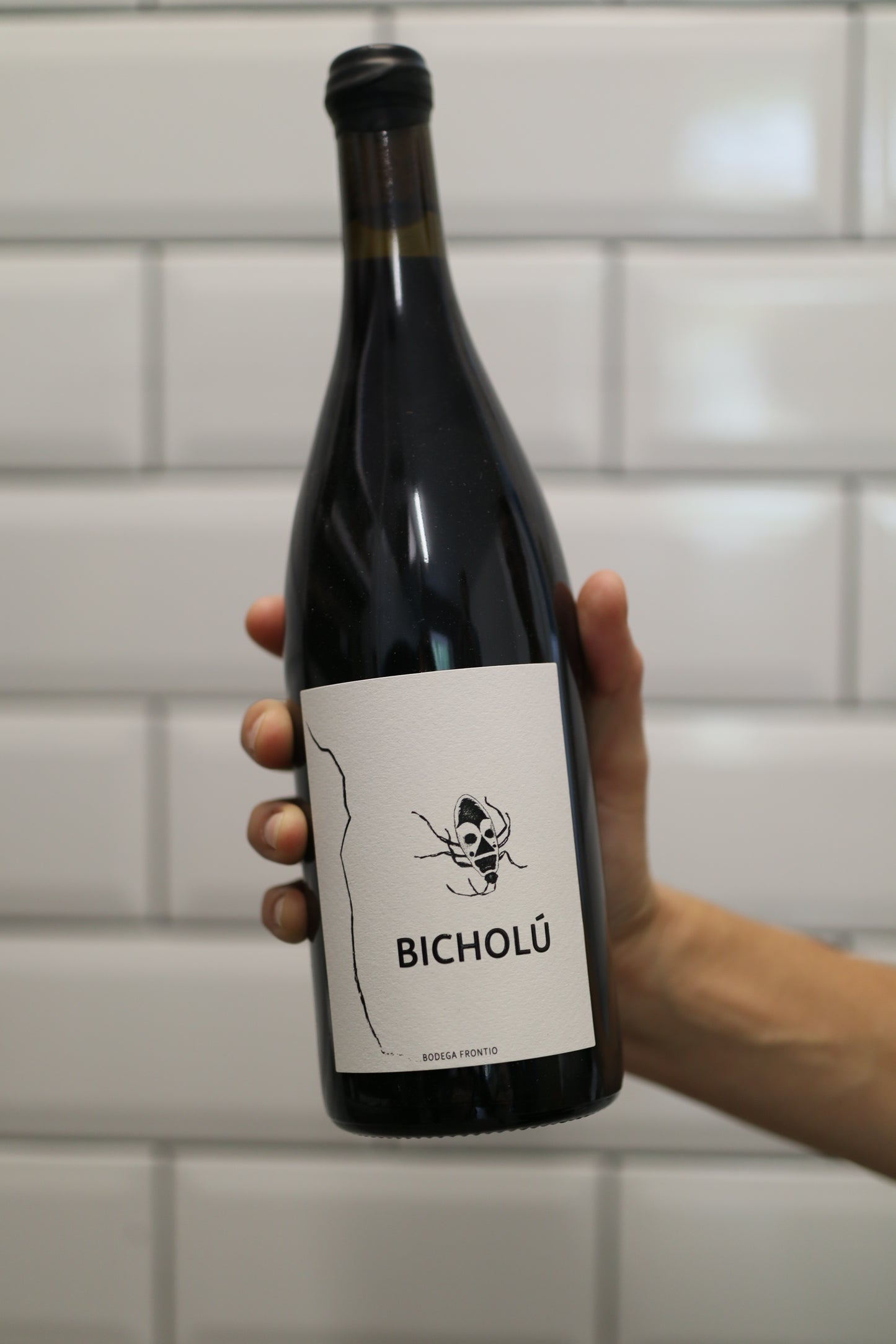 Bodega Frontio - Bicholú