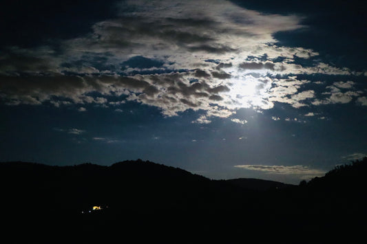 20.März 2026 - Cosy Wines