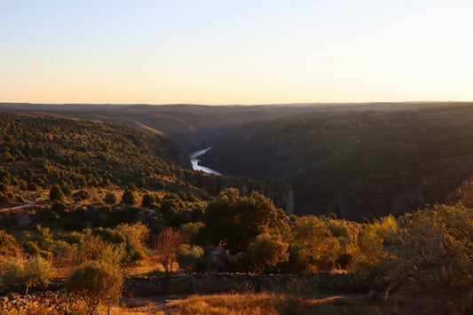 4. November - Arribes, Wein vom Duero Canyon