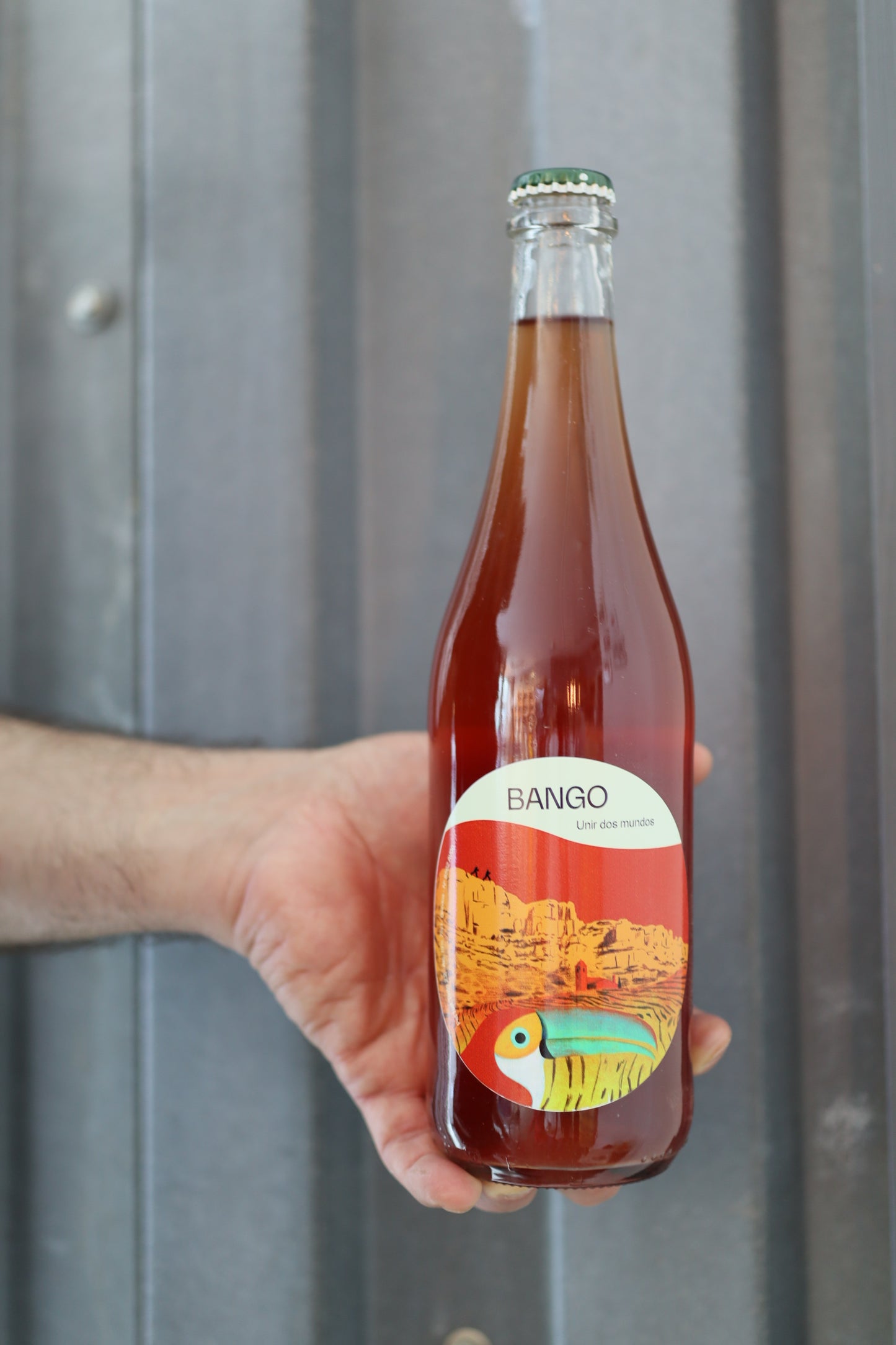 Chapi Wines - Bango Pet Nat Rose