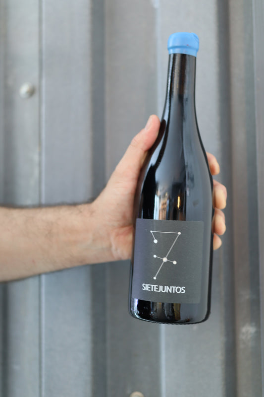 MicroBioWines - Sietejuntos Syrah