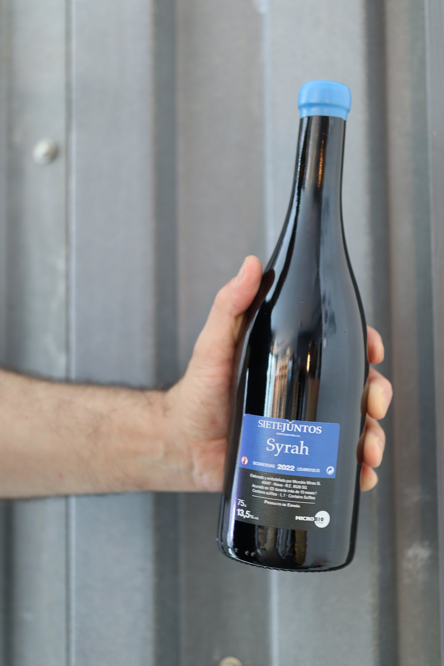 MicroBioWines - Sietejuntos Syrah